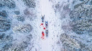 Przypadkowa Śmierć W Obozie Survivalowym Powoduje, Że Uczestnicy Polują Na Siebie