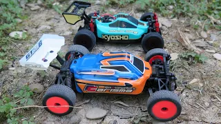 Kyosho mini-z  buggy   (MP9  VS CARISMA GT24B)