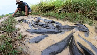 Best Hand Fishing - a lot of catch catfish and Redfish on the road when flood water by hand