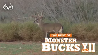 2004 Deer Hunts | Best of Monster Bucks 12 Volume 1 | Classic Whitetail Deer Hunts