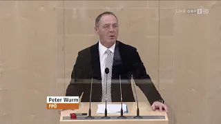 Peter Wurm - Budget 2021 - (Arbeit, Familie und Jugend) - 19.11.2020