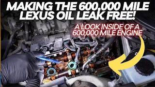 Making The 600,000 Mile Lexus Oil Leak Free! A Look Inside Of the 600,000 Mile Engine
