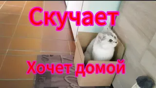 Тимати скучает☹️