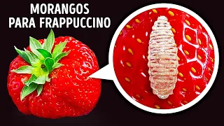 Insetos Vermelhos no seu Frappuccino: Mito ou Verdade?