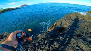 Fishing Rocky Cliffs in Maui, Hawaii - Crazy Catch!
