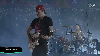 Blink 182 - Lollapalooza 2024 - Stay together for the kids