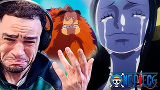 IS HE REALLY ALIVE?! 🤯 | One Piece Episode 1097 Reaction!!!!