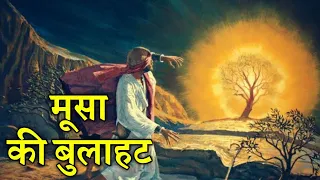 मूसा की बुलाहट निर्गमन 3 और 4 | The Call of Moses | मूसा की कहानी भाग 2 | #biblestorieshindi #jesus