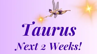 Taurus Next 2 Weeks; Victory, Blessings & Gain! Taurus Weekly Tarot