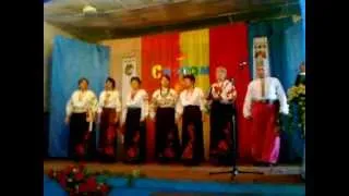 "Цвіте, цвіте черемшина" виконує вокальний жіночий ансамбль Прохорського будинку культури