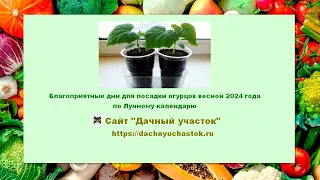 Посадка огурцов по Лунному календарю в 2024 году