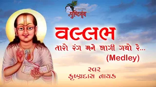 Vallabh Taro Rang Mane Lagi Gayo Re | વલ્લભ તારો રંગ મને લાગી ગયો રે | Medley