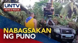 3 indibidwal, sugatan matapos mabagsakan ng puno sa Paracale, CamNorte