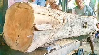 sawing fine fiber hard teak wood into good 7×14 blocks