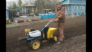 Planting potatoes with potato planter COP 01 virgin Soil