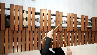 【59秒】熊蜂の飛行 Flight of the bumblebee on marimba (59sec.)