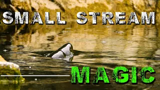 "How We Do It" EPISODE #1: Small Brown Trout Stream Magic After the Eradicating Floods