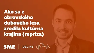 Ako sa z obrovského dubového lesa zrodila kultúrna krajina (podcast Dejiny)