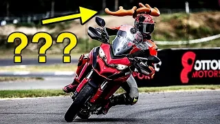 WTF WAS I DOING??  😂 - HEROES RACE [English Subtitles]