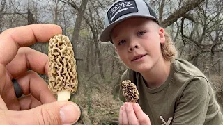 The Best Fried Morel Mushroom Recipe Ever!