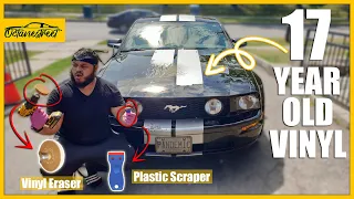 Removing 17 Year Old Racing Stripes from my Mustang | Vinyl Eraser & Plastic Scraper Method