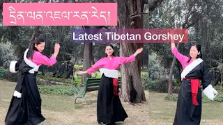 Latest Tibetan Gorshey || དྲིན་ལན་འཇལ་རན་རེད། || སྒོར་གཞས་གསར་པ།