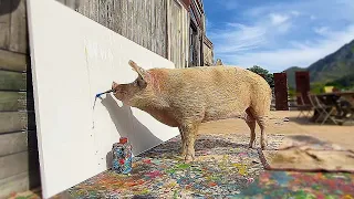 PIG'S ARTWORK WORLD RECORD £20,000! (Pig Paints & Sells Art For A Living)