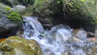 river sounds (running water, birdsong, music) which improve concentration