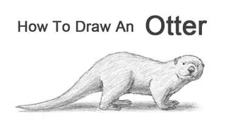 How to Draw an Otter