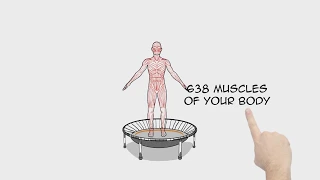 bellicon Rebounding Explained: Science and Effects