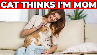 15 Signs Your Cat Sees You as Mom