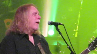 Govt Mule in concert 2018