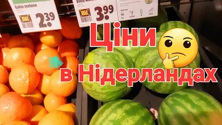 Біженці 🇺🇦 в Нідерландах 🇳🇱 Чи виросли Ціни на продукти? Огляд і покупка Влог #elenaukraineandfamily