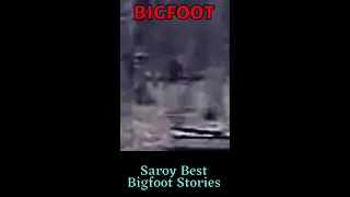 Bigfoot Sighting!!! What You Think???😨😨 #Bigfoots testimony