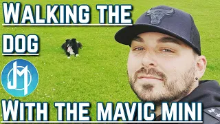 Dog Walking with the Mavic Mini...Novice Pilot Issues #DJI
