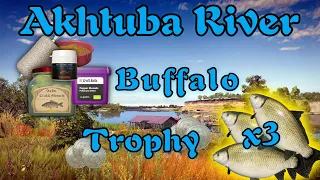 Russian Fishing 4 RF4 Akhtuba River Trophy Buffalo x3