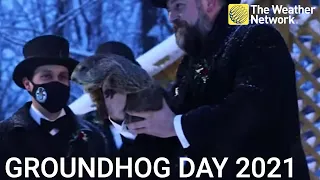 Punxsutawney Phil sees his shadow and predicts six more weeks of winter -  Groundhog Day 2021