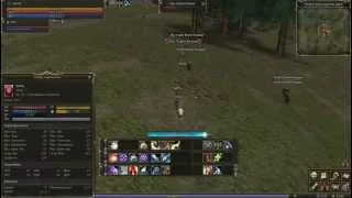 Lineage 2 Classic Gran Kain lvlup (25-26)