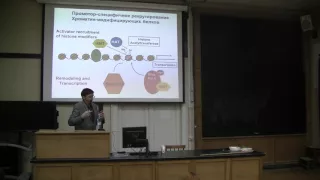 Bioseminars.ru:  Онкосупрессор р53, экспрессия генов и рак