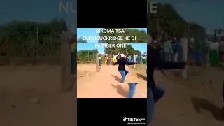 Dikoma tsa kokwane Mapulaneng