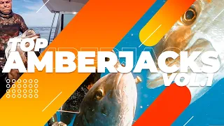 SPEARFISHING. TOP AMBERJACKS vol.1 (SPEARFISHING BEST MOMENTS)