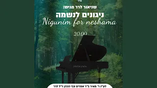 ניגונים לנשמה - Nigunim For Neshama