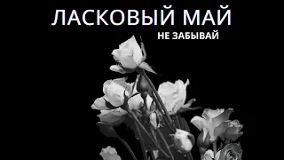 Ласковый Май - Не забывай. Премьера песни ( Альбом 2023).