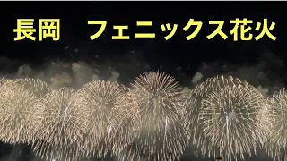 2022年長岡花火🎆（復興祈願花火フェニックス）Nagaoka fireworks