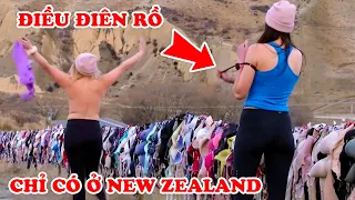 15 Weird Things You Don't Know About New Zealand #35