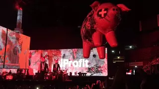 Roger Waters "Pigs" Milano 17-04-18