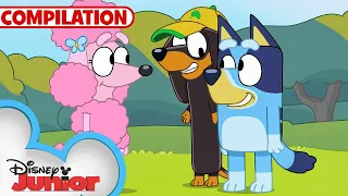 Bluey Compilation | S1 Full Episodes | Keepy Uppy & MORE! | @disneyjunior x@BlueyOfficialChannel