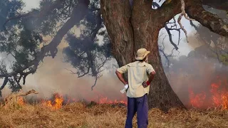 Teesdale Aboriginal Fire Workshop, April 2017