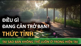 Điều gì đang cản trở bạn thức tỉnh? Tại sao ta không thể luôn ở trong hiện tại? - Vạn vật giác ngộ