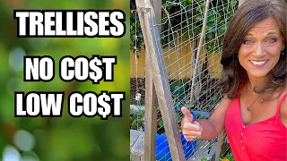5 Easy Trellises: No Cost/Low Cost